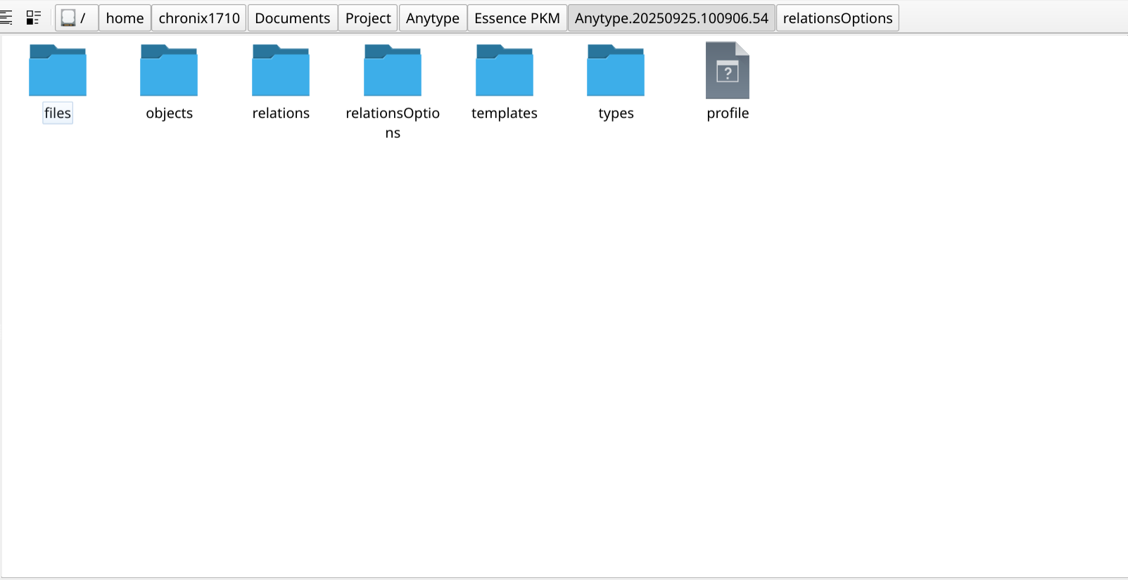 Anytype's file storage approach