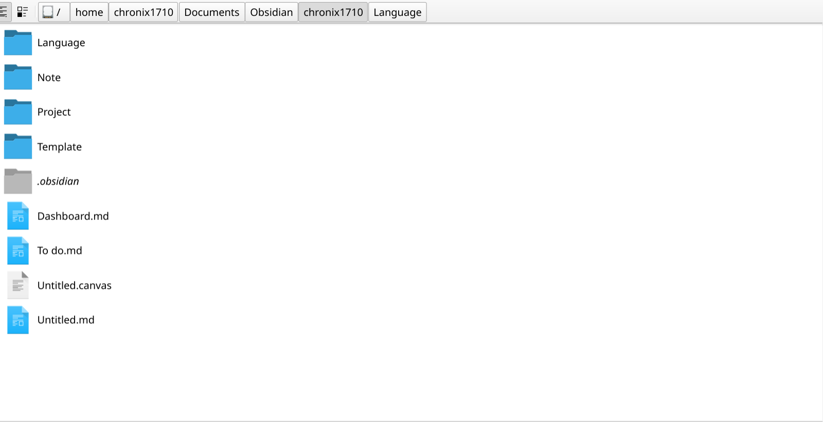 Obsidian's file storage approach